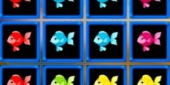 1010 Fish Blocks