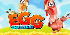 Egg Challenge